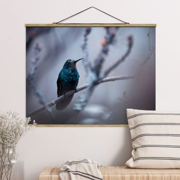 Plakat z wieszakiem - Koliber w zimie