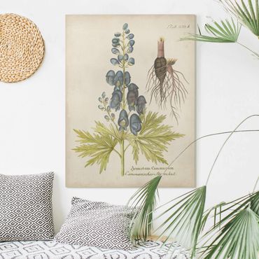 Obraz na płótnie - Botanika w stylu vintage z niebieską kominiarką