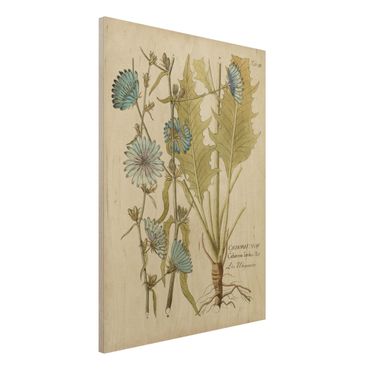 Obraz z drewna - Botanika w stylu vintage z cykorią niebieską