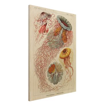 Obraz z drewna - Tablica edukacyjna w stylu vintage Meduza