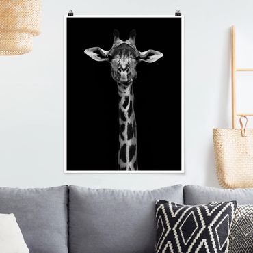 Plakat - Portret ciemnej żyrafy