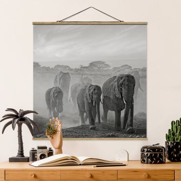 Plakat z wieszakiem - Stado słoni