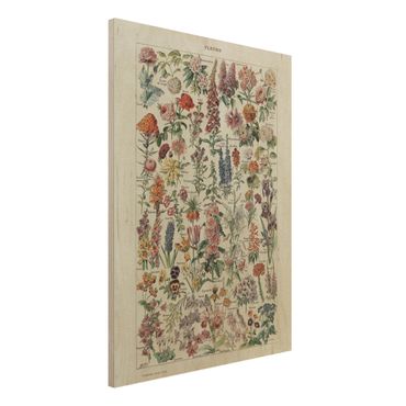 Obraz z drewna - Tablica edukacyjna w stylu vintage Kwiaty V