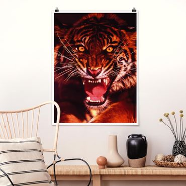 Plakat - Dziki tygrys