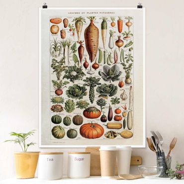 Plakat - Tablica edukacyjna w stylu vintage Warzywa