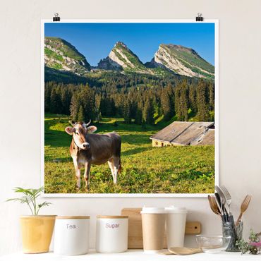 Plakat - Szwajcarska łąka alpejska z krową