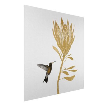 Obraz Alu-Dibond - Koliber i tropikalny złoty kwiat