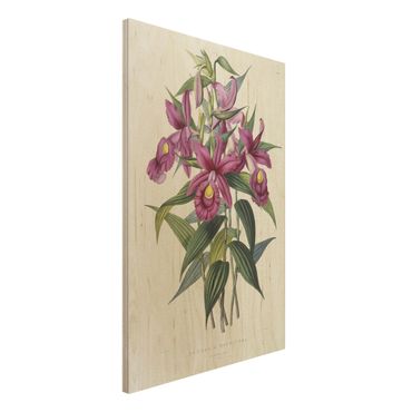 Obraz z drewna - Maxim Gauci - Orchidea I