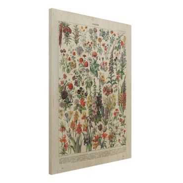 Obraz z drewna - Tablica edukacyjna w stylu vintage Kwiaty IV