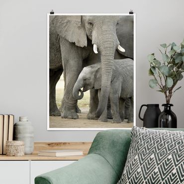 Plakat - Miłość słonia