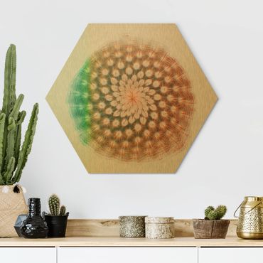 Obraz heksagonalny z Alu-Dibond - Akwarele - Kwiat kaktusa