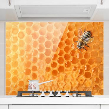 Panel szklany do kuchni - Słonecznik i pszczoła miodna