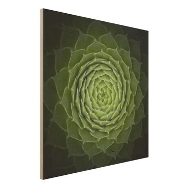 Obraz z drewna - Mandala sukulent