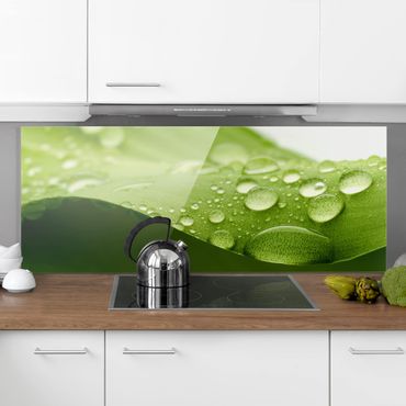Panel szklany do kuchni - Krople natury