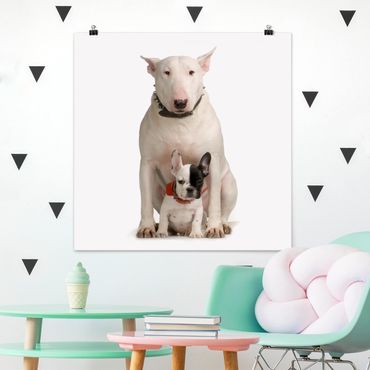 Plakat - Bull Terrier i przyjaciel