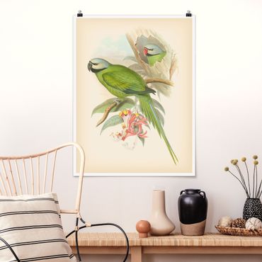 Plakat - Ilustracja w stylu vintage Ptaki tropikalne II