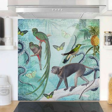 Panel szklany do kuchni - Kolaże w stylu kolonialnym - małpy i rajskie ptaki
