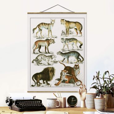 Plakat z wieszakiem - Tablica edukacyjna w stylu vintage Lew, tygrys i szakal