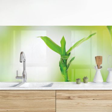 Panel ścienny do kuchni - Zielony bambus