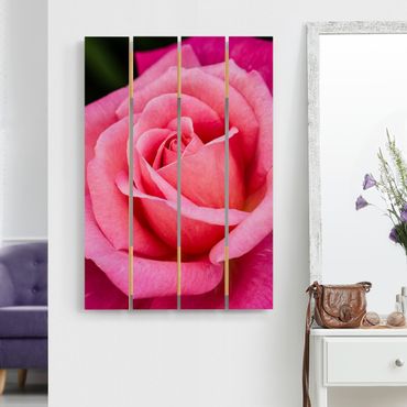 Obraz z drewna - Kwiat różowej róży na tle zieleni