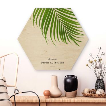 Obraz heksagonalny z drewna - Tropikalny liść palmy Areca