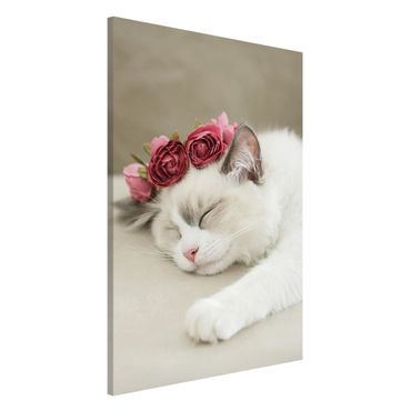 Tablica magnetyczna - Śpiący kot z różami