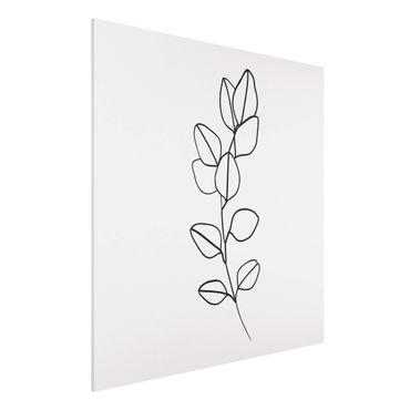 Obraz Forex - Line Art Gałązka liści czarno-biały
