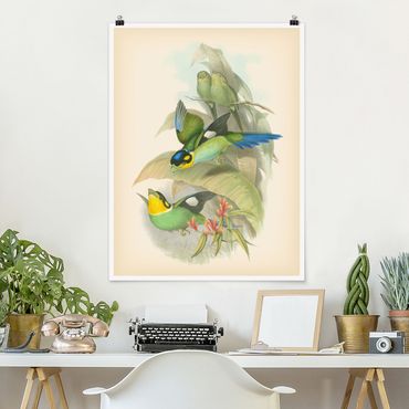 Plakat - Ilustracja w stylu vintage - ptaki tropikalne