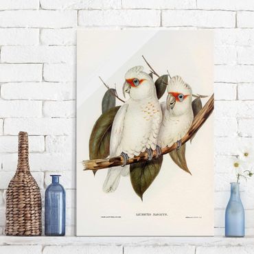 Obraz na szkle - Ilustracja w stylu vintage Biały kakadu
