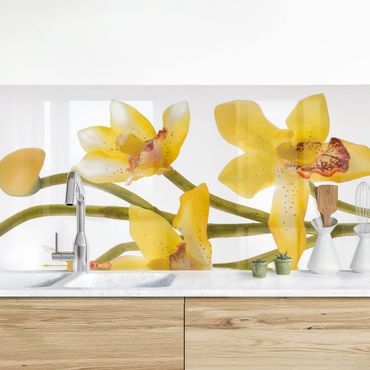 Panel ścienny do kuchni - Saffron Orchid Waters