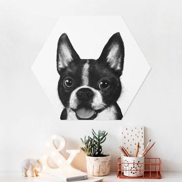 Obraz heksagonalny z Forex - Ilustracja pies Boston czarno-biały Painting