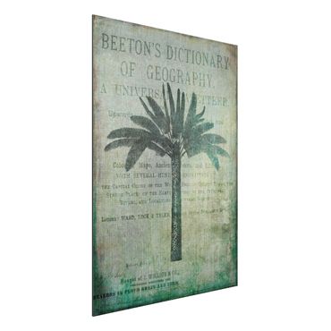 Obraz Alu-Dibond - Kolaż w stylu vintage - antyczne drzewo palmowe