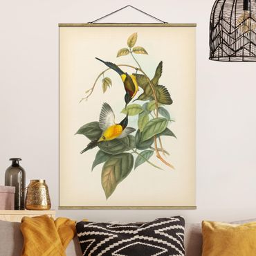 Plakat z wieszakiem - Ilustracja w stylu vintage Ptaki tropikalne IV