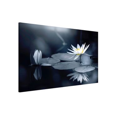 Tablica magnetyczna - Odbicie lotosu w wodzie