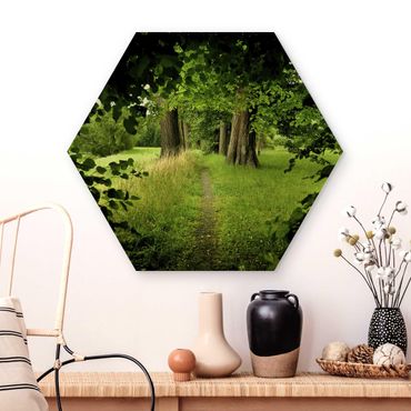 Obraz heksagonalny z drewna - Ukryta polana