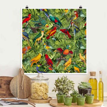 Plakat - Kolorowy kolaż - Papugi w dżungli