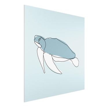 Obraz Forex - Line Art żółwia