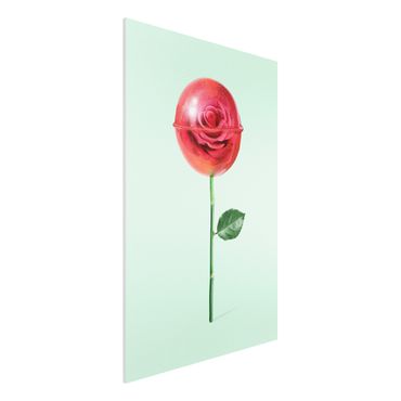 Obraz Forex - Róża z lizakiem