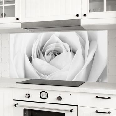 Panel szklany do kuchni - Róża z bliska