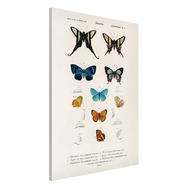 Tablica magnetyczna - Tablica edukacyjna w stylu vintage Motyle I