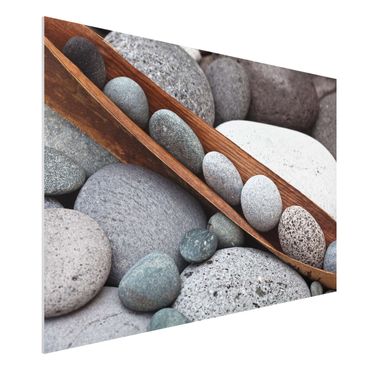 Obraz Forex - Nieruchome życie z szarymi kamieniami