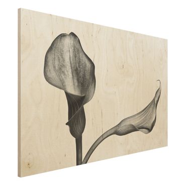 Obraz z drewna - Kalla Zbliżenie czarno-białe
