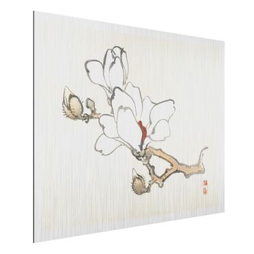 Obraz Alu-Dibond - Rysunki azjatyckie Vintage Magnolia biała