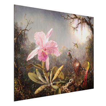 Obraz Alu-Dibond - Martin Johnson Heade - Orchidea i trzy kolibry