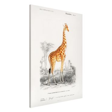 Tablica magnetyczna - Tablica edukacyjna w stylu vintage Tablica dydaktyczna w stylu vintage Żyrafa