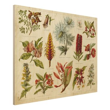 Obraz z drewna - Tablica edukacyjna w stylu vintage Botanika tropikalna I