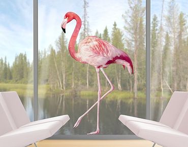 Naklejka na okno - Różowe flamingi