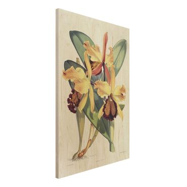 Obraz z drewna - Walter Hood Fitch - Orchidea