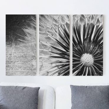 Obraz na płótnie - Dandelion czarno-biały