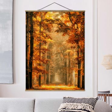 Plakat z wieszakiem - Bajkowy las jesienią